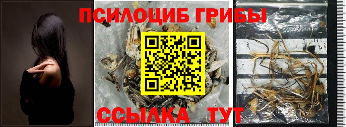 Серпухов  Галлюциногенные грибы мицелий  Вход с VPN 